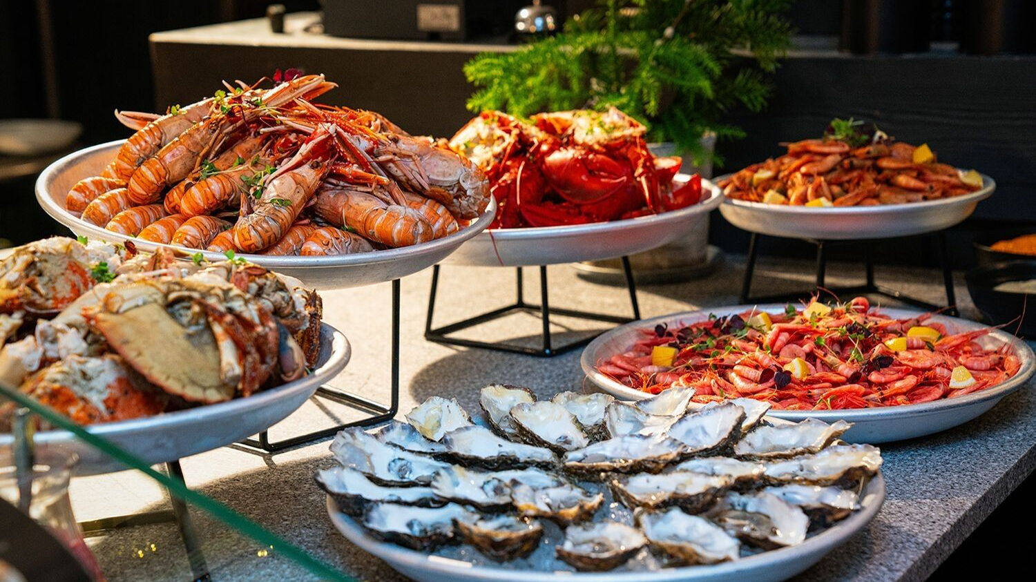 Skaldjursbord med ostron, kräftor, krabbor, hummer och räkor